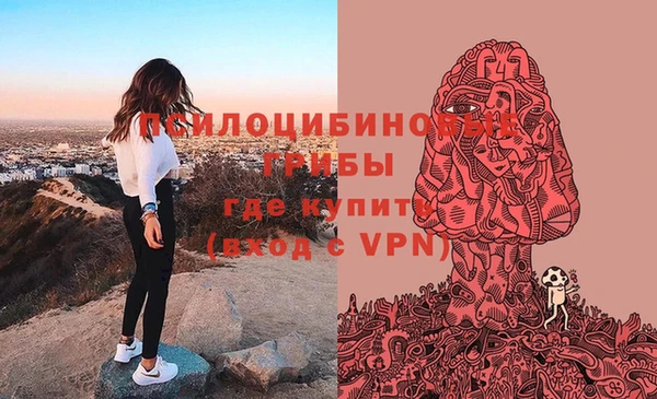 спайс Покачи