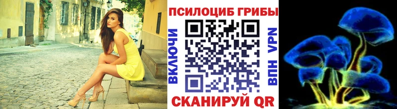 Псилоцибиновые грибы ЛСД  купить наркотики сайты  Красавино 